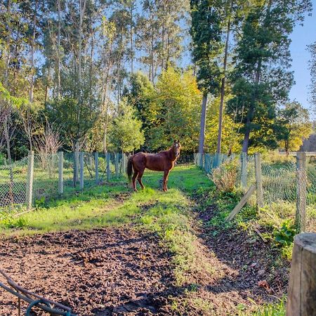 Casa Do Moinho Rural Campo E Praia , 9 Pessoas, Animais Benvindos Ешпиньо Екстериор снимка