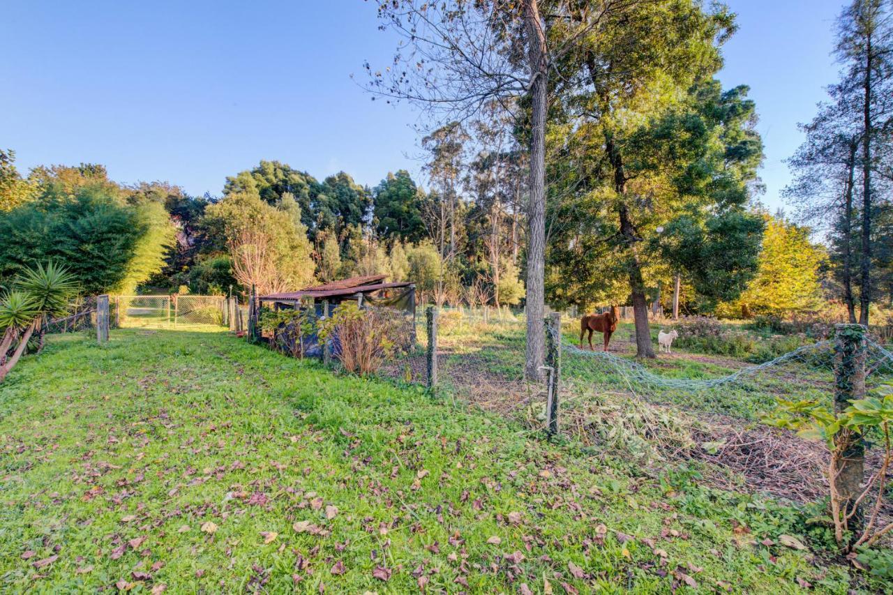 Casa Do Moinho Rural Campo E Praia , 9 Pessoas, Animais Benvindos Ешпиньо Екстериор снимка