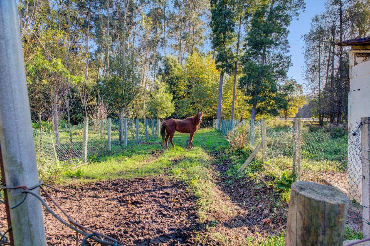 Casa Do Moinho Rural Campo E Praia , 9 Pessoas, Animais Benvindos Ешпиньо Екстериор снимка
